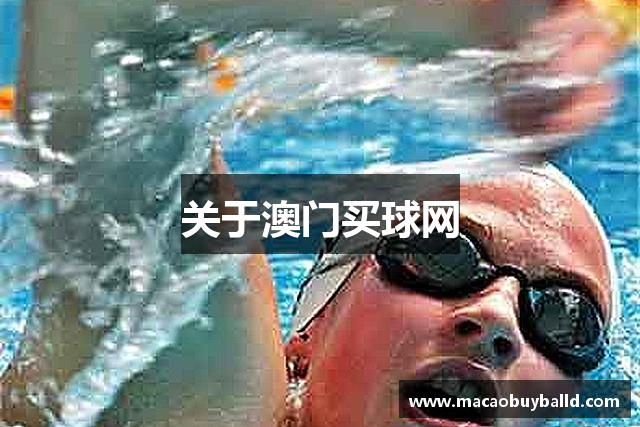 关于澳门买球网